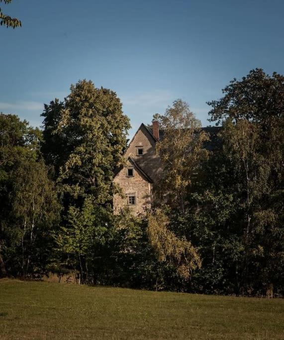 Maciejowiec Castle Hill Apartment I Экстерьер фото